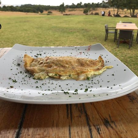 Game Haven Lodge بلانتاير المظهر الخارجي الصورة
